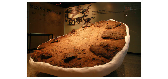 국내 최대 육식공룡둥지화석 자연사박물관에 새로운 둥지를 틀다